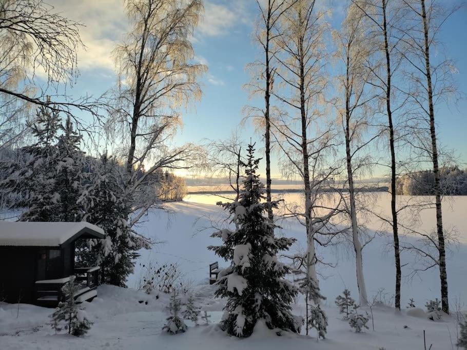 Villa Moekki Salakka Raeaekkylae Pohjois-Karjala Nieminen  Exterior foto