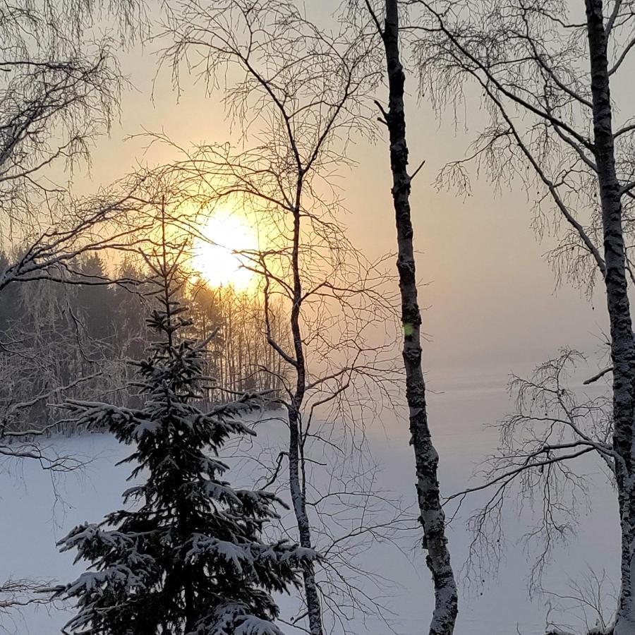 Villa Moekki Salakka Raeaekkylae Pohjois-Karjala Nieminen  Exterior foto